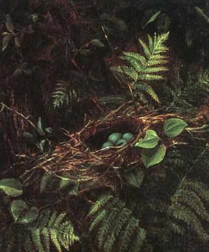 Fidelia Bridges Bird\'s Nest and Ferns Norge oil painting art